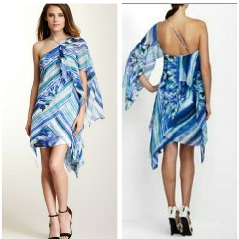 NWT BCBG Silk Chiffon Dress Sz 6